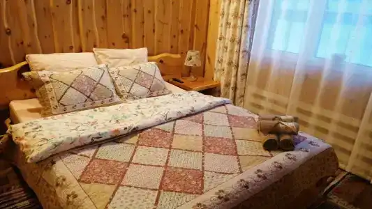 Загородный дом Телецкое - 7