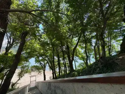 Скала - 13