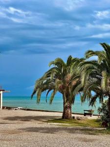 Leon Beach - 1