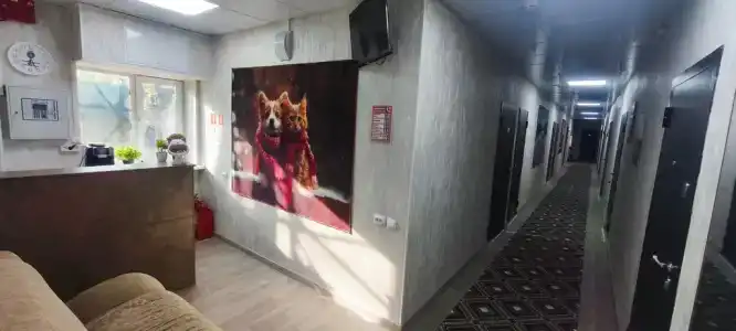 Борисон - 1