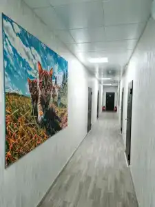 Борисон - 2