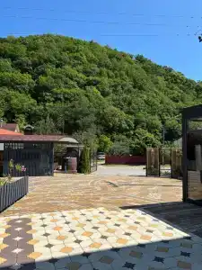Golden House - 2