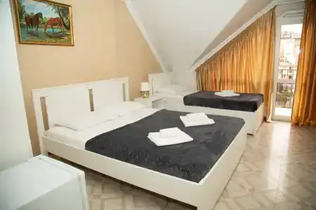 Алиса - 3