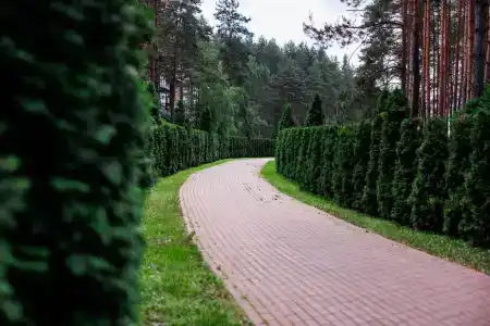 Борвиха - 10