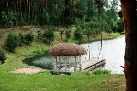 Борвиха - 11