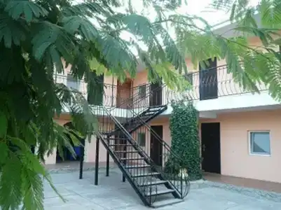 Green House - 2