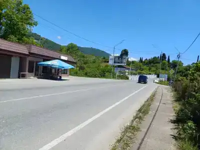 Олеандр - 2