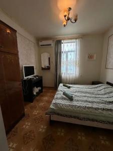 Несник - 37