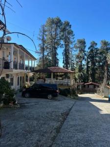 Яна - 12