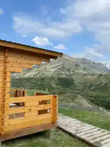 Белые журавли - 25