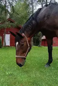 Тихий дом - 10