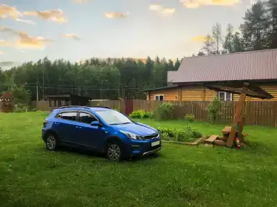 Палюшино - 31
