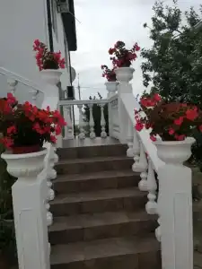 Mag House - 1