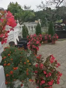 Mag House - 3