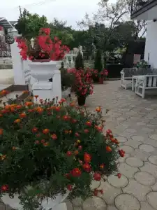 Mag House - 5