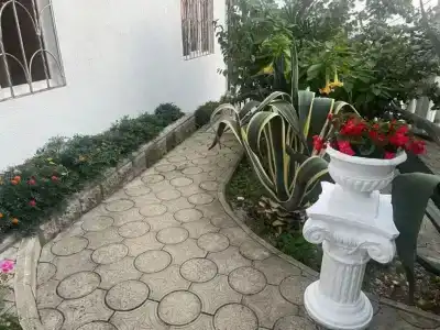 Mag House - 10