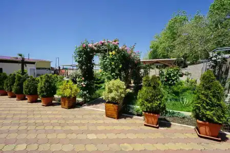 Нептун - 4