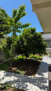 Guest House Paradise - 21