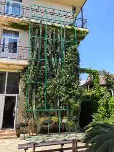 Даниэль - 1