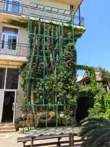 Даниэль - 2