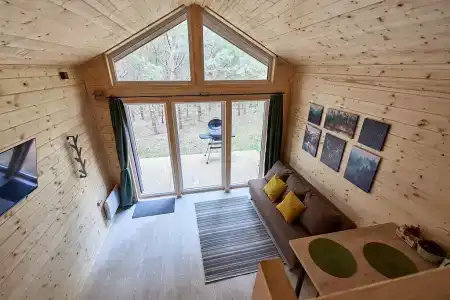 Сосны. Пространствие - 104