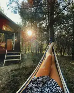 Сосны. Пространствие - 118