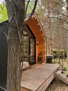 Сосны. Пространствие - 106