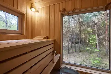 Сосны. Пространствие - 108