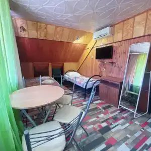 фламинго - 50