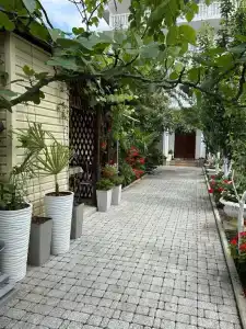 Арт-Софи - 2