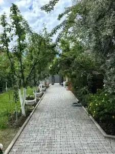 Арт-Софи - 3