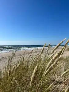Amorebeach - 20