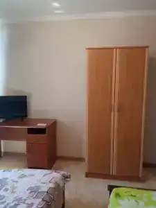 Мимоза - 9