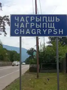 Мимоза - 1