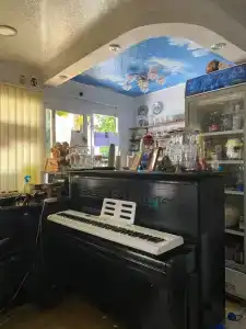 Я восхищаюсь - 1