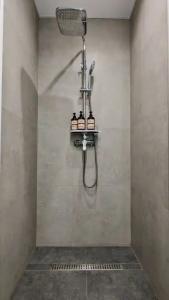 Studio 15 - 256