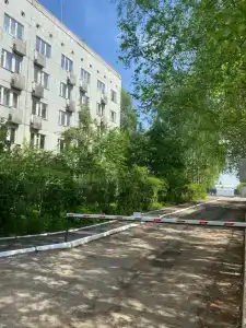 Сова - 2