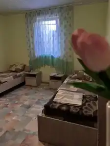 Дамир - 49