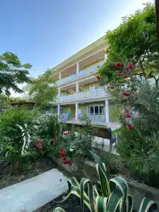 Mini Green House - 0