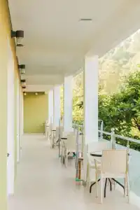 Mini Green House - 8