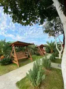 Mini Green House - 9