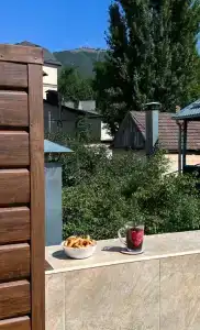 Свои - 5