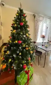 Свои - 26