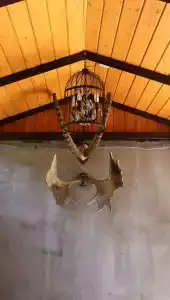 Касадор - 2
