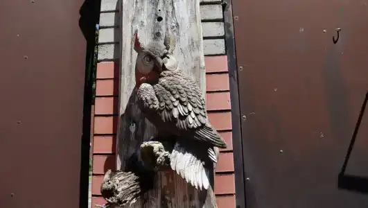 Касадор - 12
