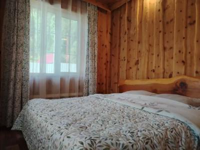 Загородный дом Телецкое - 23