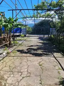 Маргарита - 2