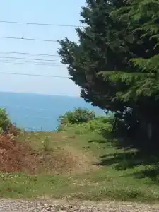 У моря - 5