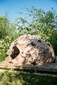 ГуляйЛес - 0