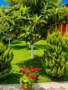 Фиеста - 13